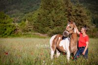 Bild-im-Sonnenuntergang-Mensch-und-Pferd