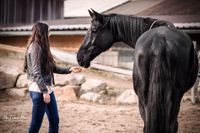 Foto-Hand-ausstrecken-zur-Pferdenase