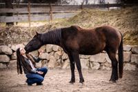 Foto-Jungpferd-mit-Besitzerin-am-kuscheln