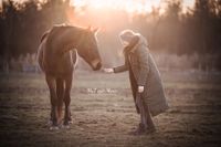 Foto-Mensch-Pferd-im-Gegenlicht