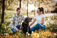 Foto-Paar-mit-Labrador-zwischen-apfelb&auml;umen