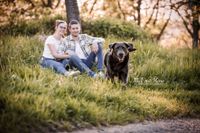 Foto-rennender-Hund-Paar-im-Hintergrund-in-der-Natur