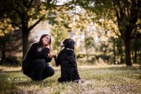 Fotografie-Hund-gibt-Pfote