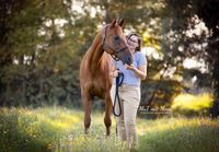 Fotografie-Pferd-fuchsfarben-Sommer