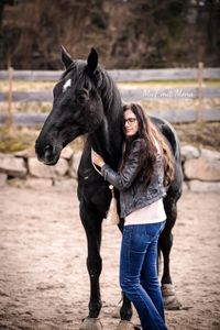 Fotografie-schwarzes-Pferd-Besitzerin-vetraut