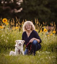 Fotografie-vor-Sonnenblumenfeld-Mensch-und-Tier