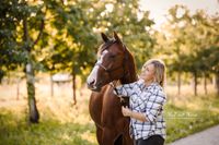 Oberkirch-Paint Horse-Fotoshooting-im-goldenen-Herbst