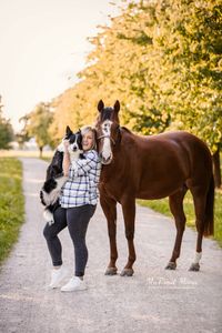 Oberkirch-Paint Horse-mit-Besitzerin-und-Border Collie