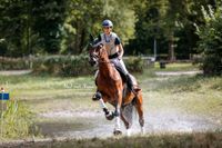 Turnierfotografie-Gelaenderitt-durch-den-Wassergraben